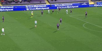 凋谢的紫百合,破碎的美丽足球之梦