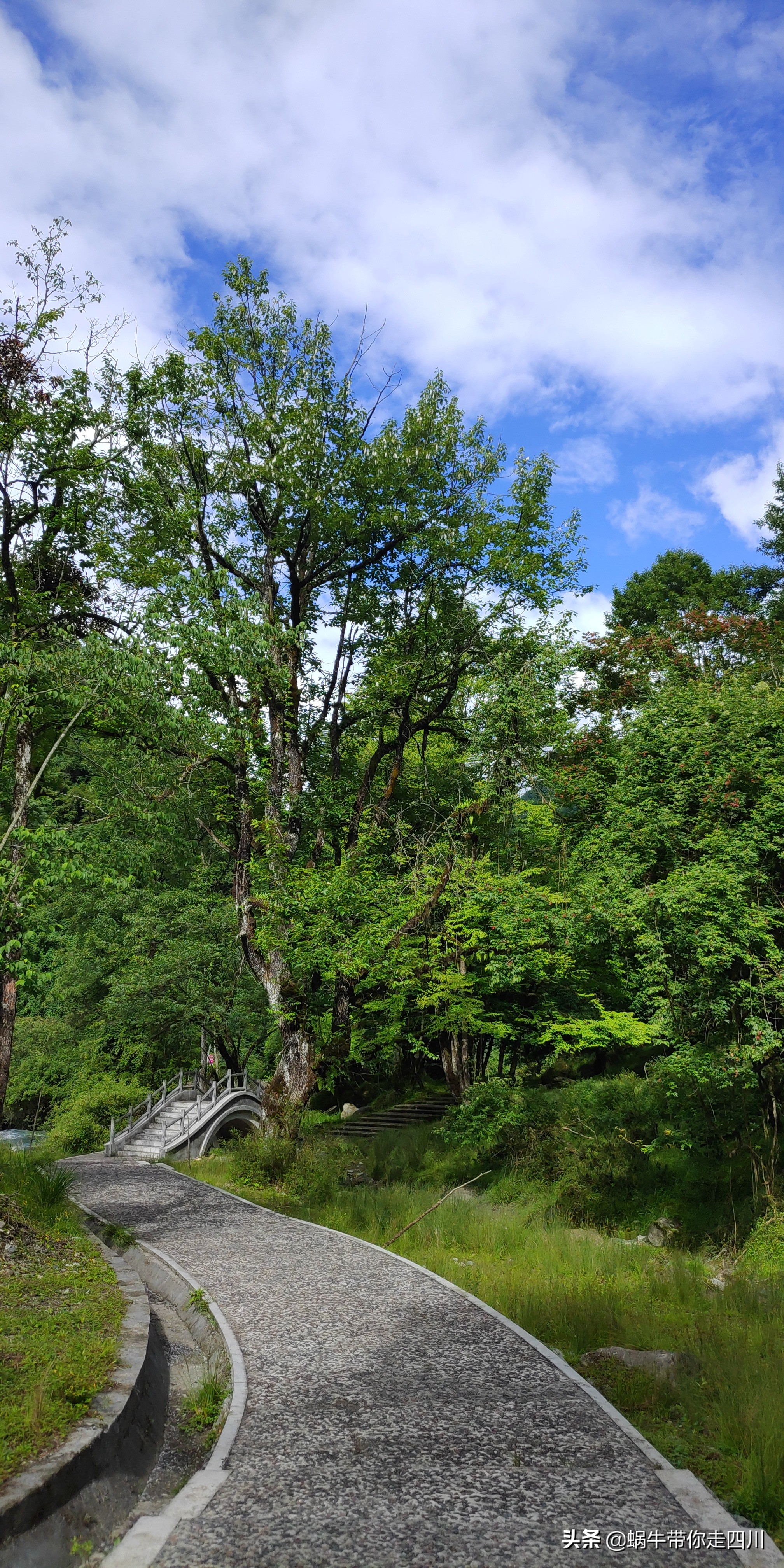 带小朋友出去看小动物,带小孩去海洋动物园