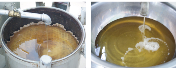 全自动榨油机小作坊项目,全自动榨油机一体