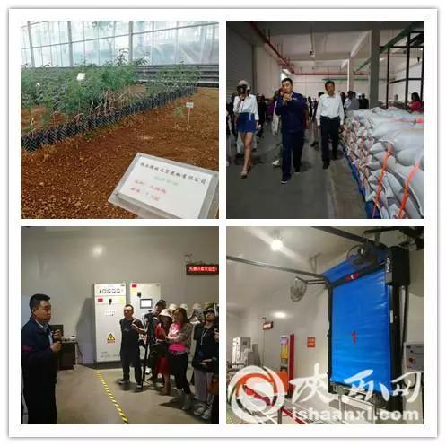 河北人你还敢说花椒产业不挣钱？瞅瞅人家是怎么闹的？