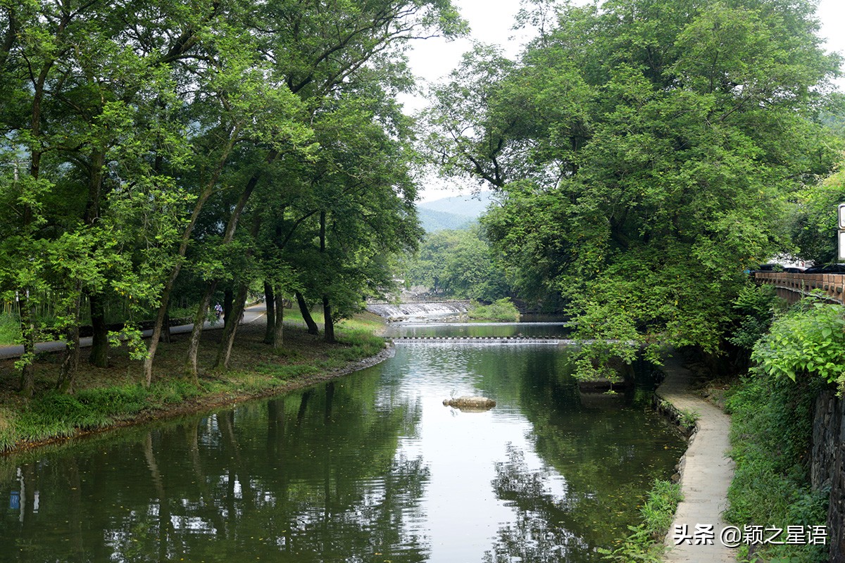 宁波牡丹花园有哪些,宁波古今牡丹园