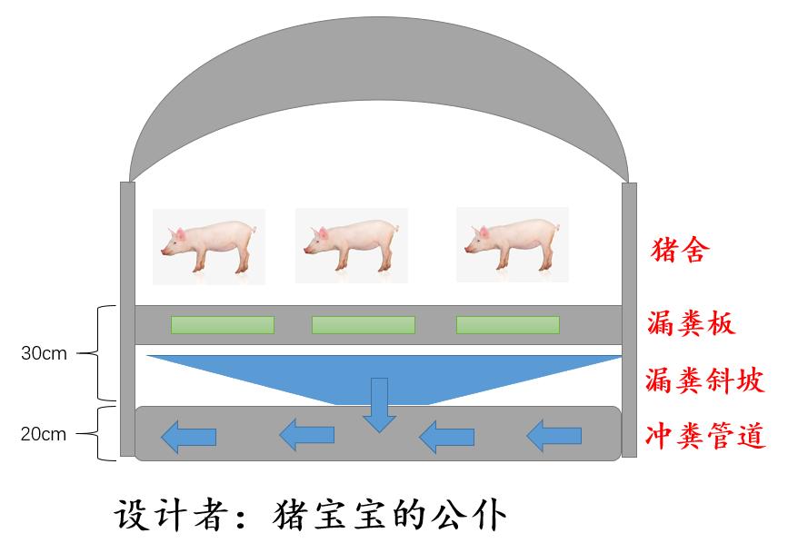 漏粪板下方的猪粪怎么处理,猪粪漏到漏板底下怎么清理