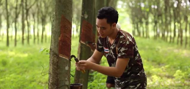 赛莎梦乳胶内衣直销,泰国赛梦莎乳胶内衣价格