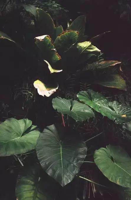 祖宗留下的五条古训,老祖宗留下来的古训经典语录