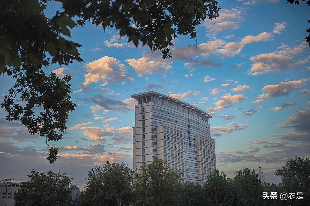 张怀勇,贵州兴仁人,河南农业大学教师,家禽营养专家