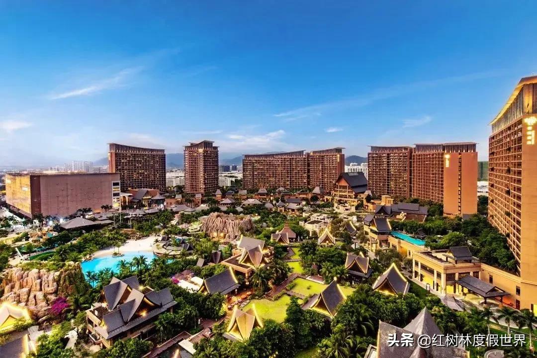 逃离北方的寒冷,逃离北方森林