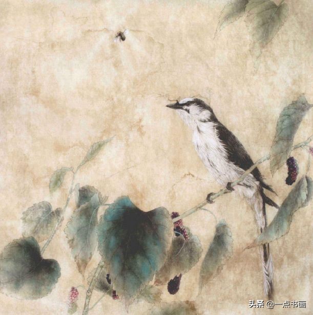 工笔斗方花鸟画图片,工笔花鸟画白描水仙