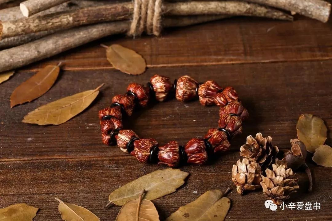 莲花和滴血莲花的区别,滴血莲花和莲花菩提区别