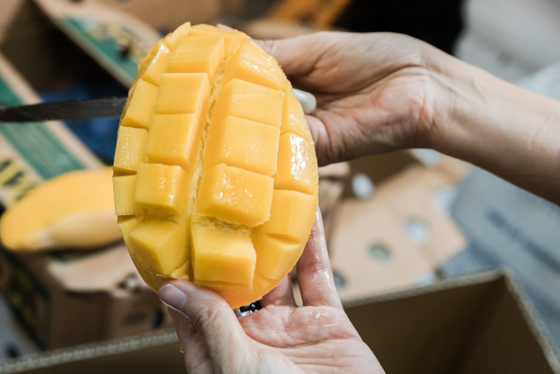 戈登拉姆齐厨艺技巧,戈登拉姆齐香草脆壳羊排