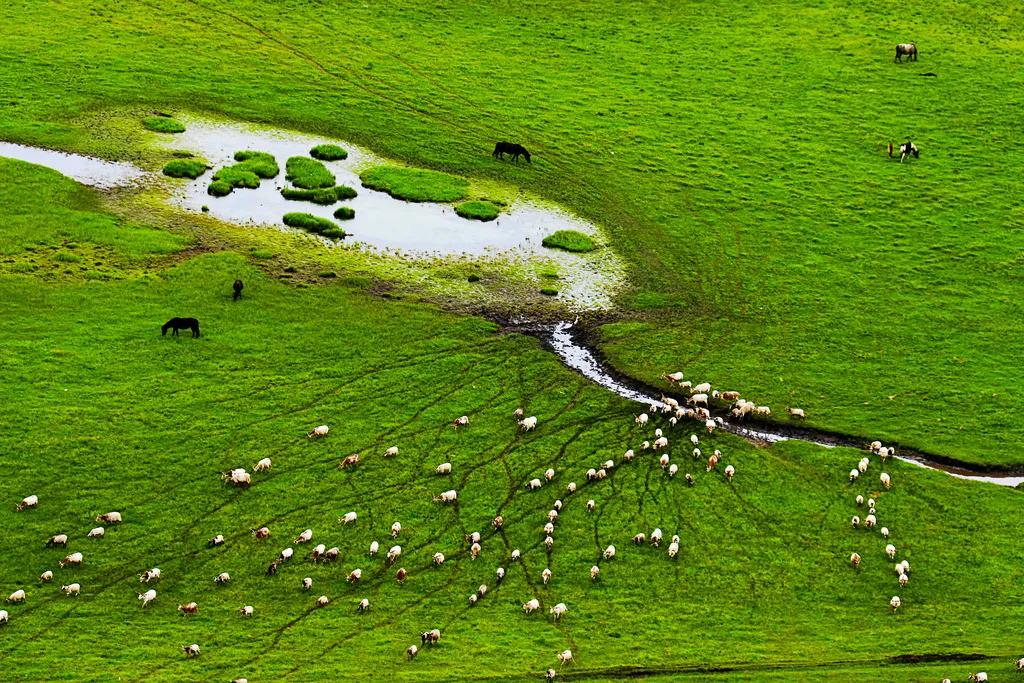 杭州九寨沟门票价格表,九寨沟景区浙江人免门票吗多少钱