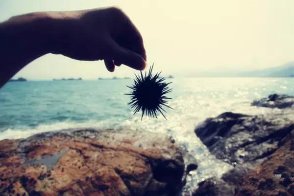 深圳海边官湖村游玩地点推荐,官湖深圳