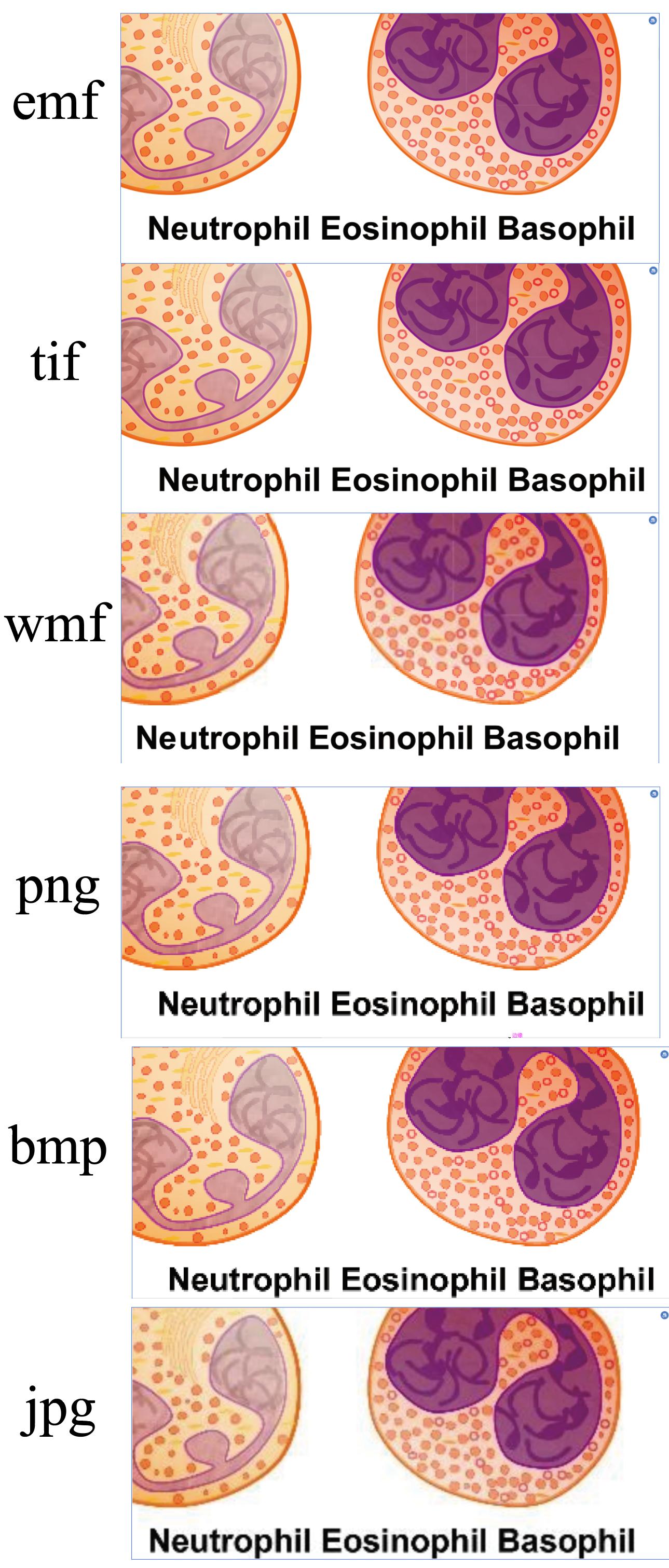 ai保存图片什么格式清晰,ai导出哪个格式的图片缩小更清晰