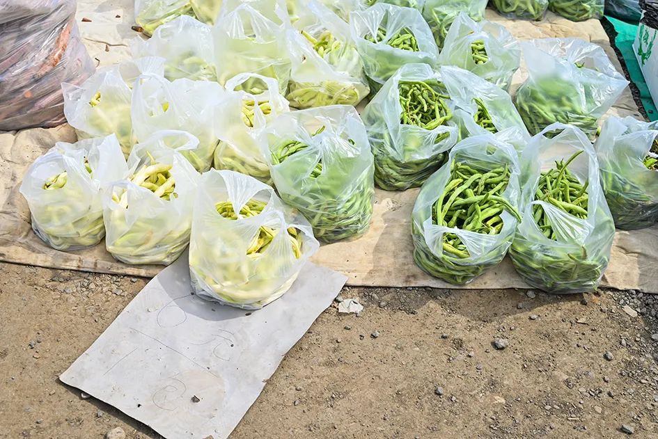 北京京郊大集地理位置,今天京郊哪有大集