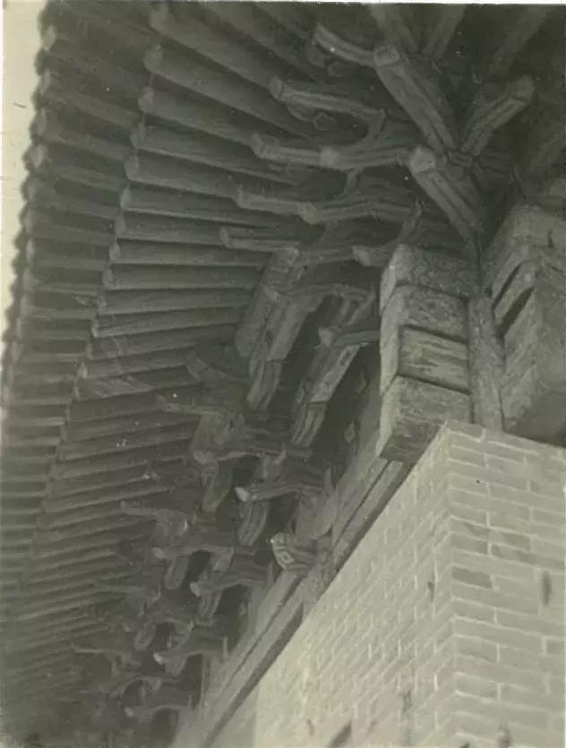 你可能没见过的姓氏,你可能没见过的日语