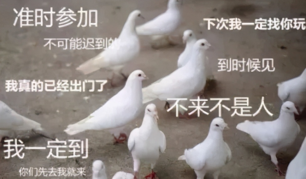 酸了..五阿哥微信新表情你有吗？热词“柠檬精”用英语怎么说？