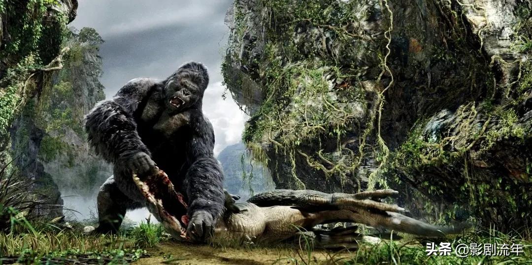 帮你整理了20部必看好片,最值得看的佳片