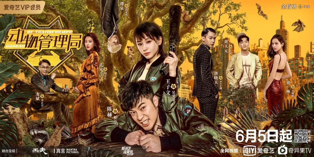 动物管理局陈赫王子文搞笑花絮,动物管理局陈赫用心灵分辨王子文