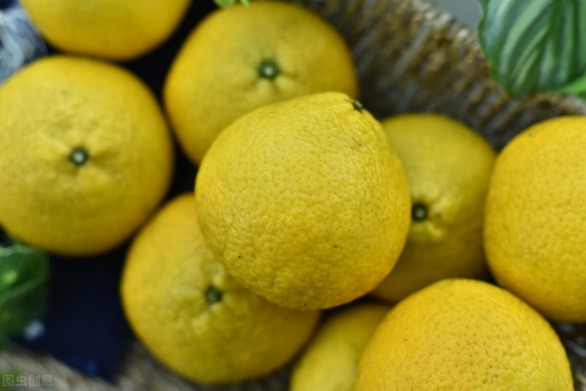 浙江高山甜桔柚,浙江绿色甜桔柚