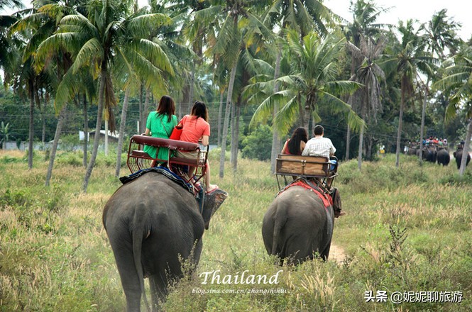 带小孩去泰国旅游要注意什么,去泰国跟团旅游注意事项