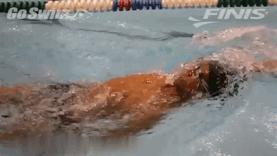 自学游泳怎样让自己游得更专业,游泳爱好者如何成为高手