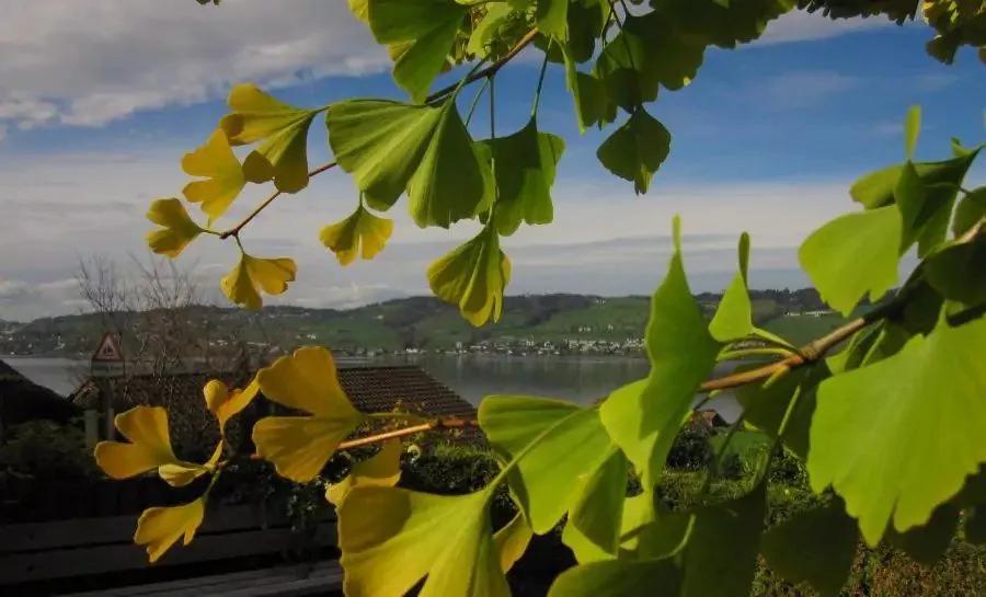 无聊的时候做什么才有意思,无聊时要做的十件事