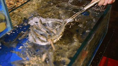 别“吃瓜”，吃海鲜！吃货们做好“时间管理”，封海将至！