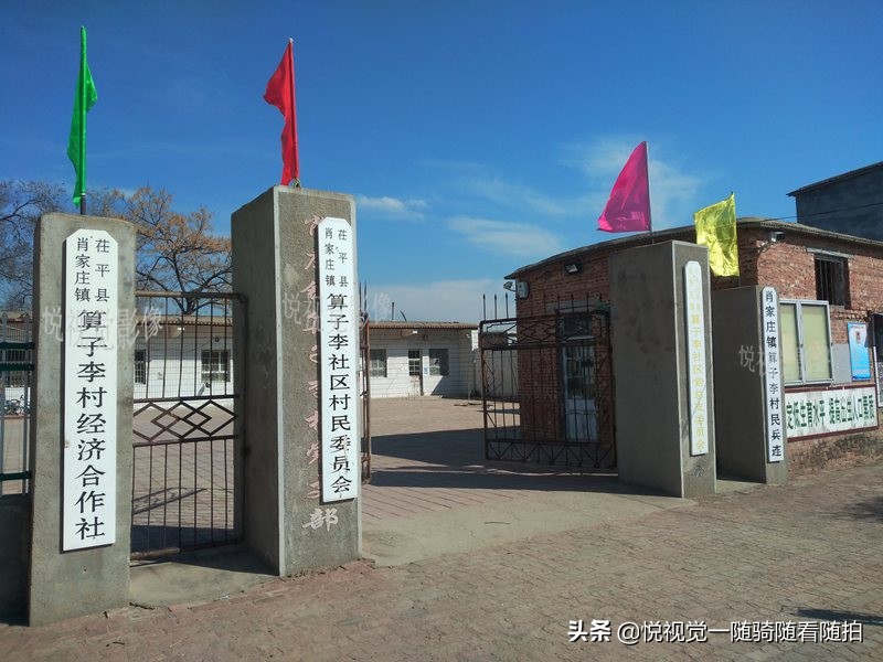 茌平算子李支书,茌平算子李村