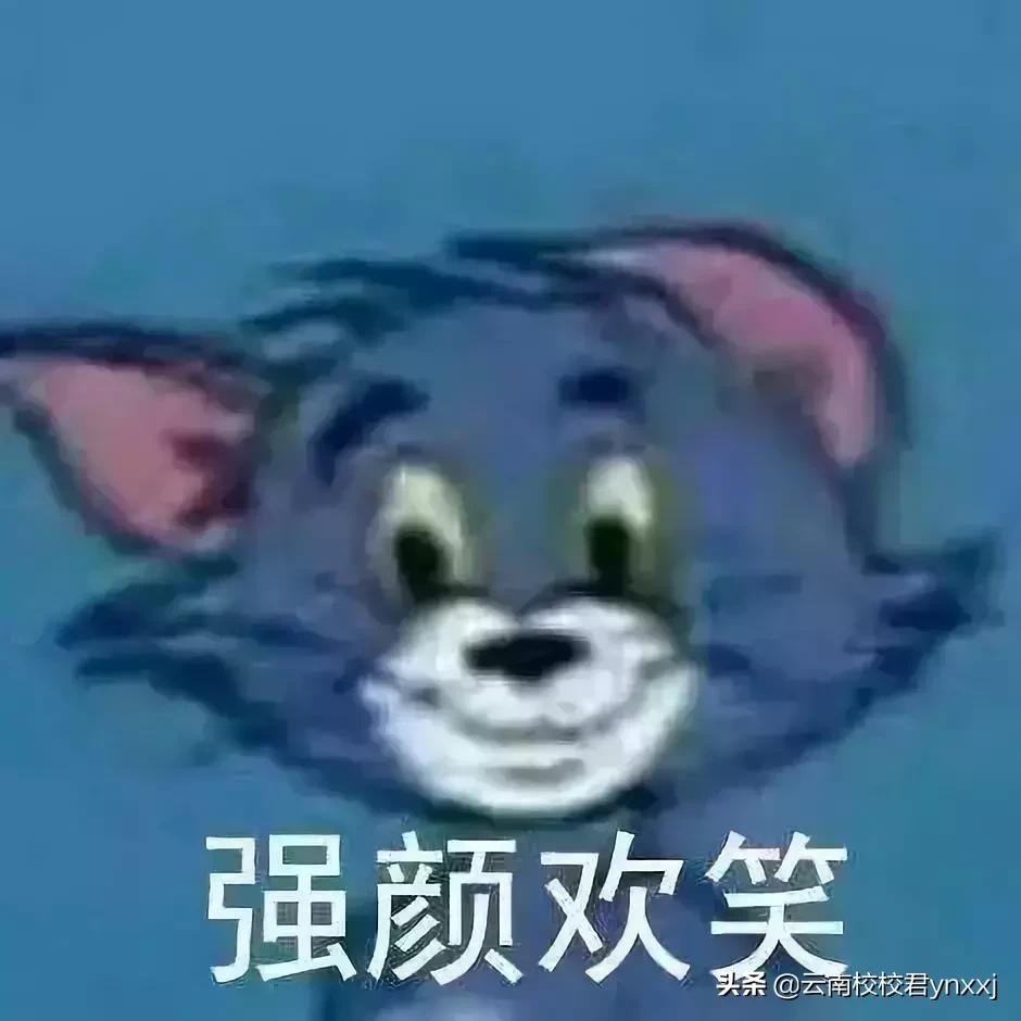 估分四六级,四六级分数线分布