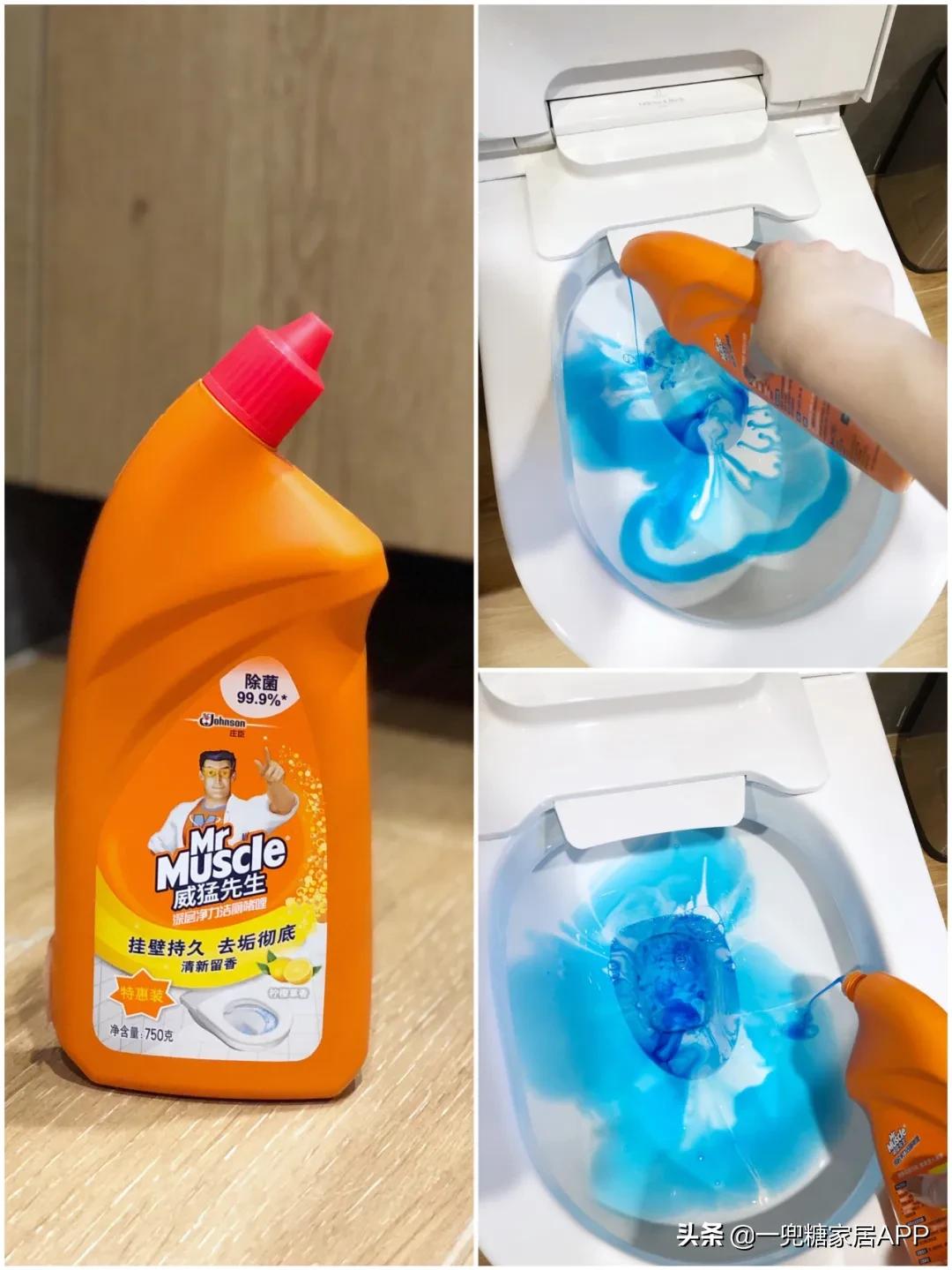 家里厕所用什么防虫,家庭厕所如何除臭