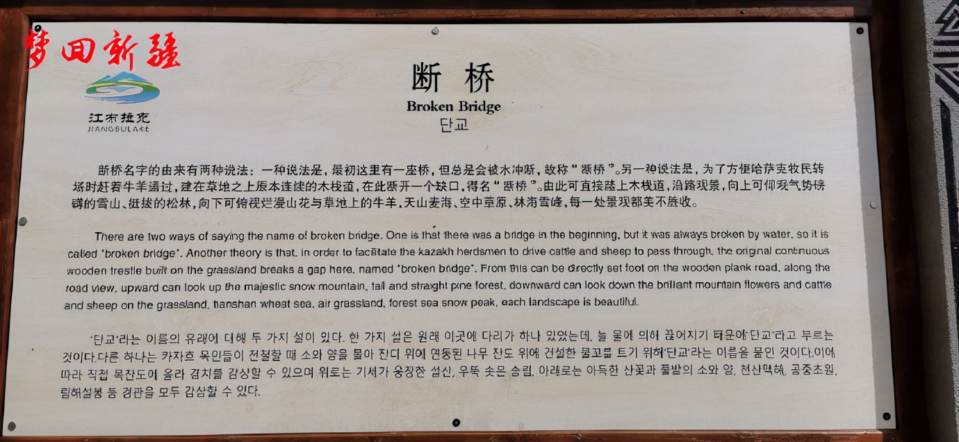 梦回新疆梦回拉萨,梦回伊宁草原视频