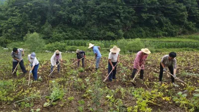 鍗佸牥瓒呭叏钄彍姘存灉,鍗佸牥鏂伴矞姘存灉