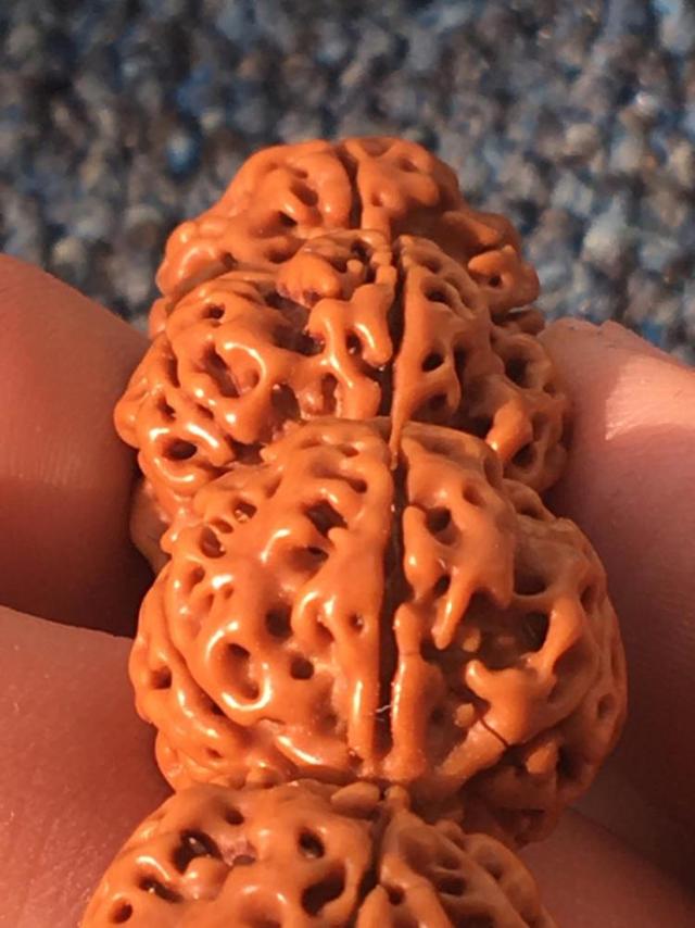 清理金刚菩提用什么水,菩提金刚清理用什么刷