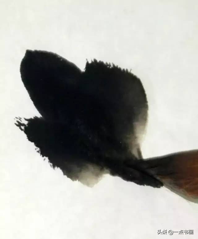 王绣写意牡丹画法步骤,王兮然写意牡丹画法视频大全