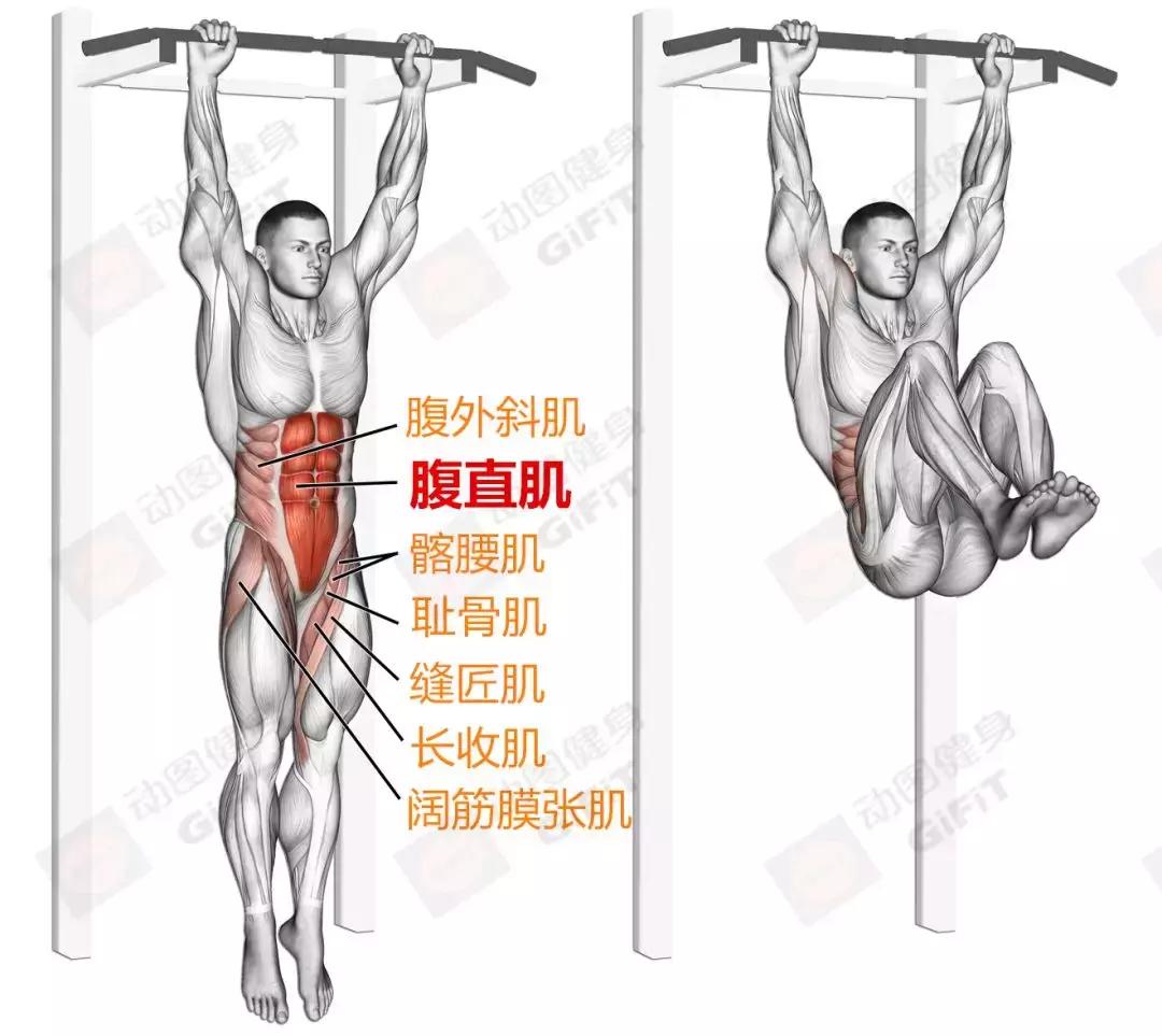 女生健身房器械训练计划一周,初中生健身房器械训练计划