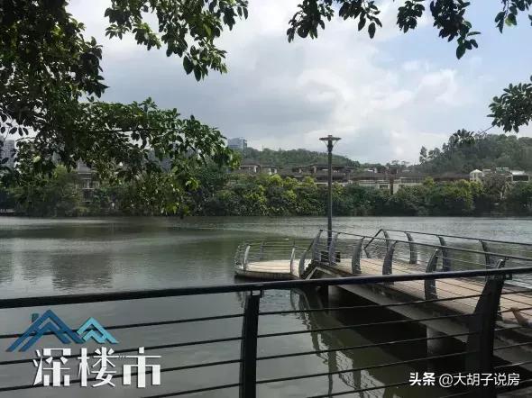 深圳的这个区域，为什么被看好？