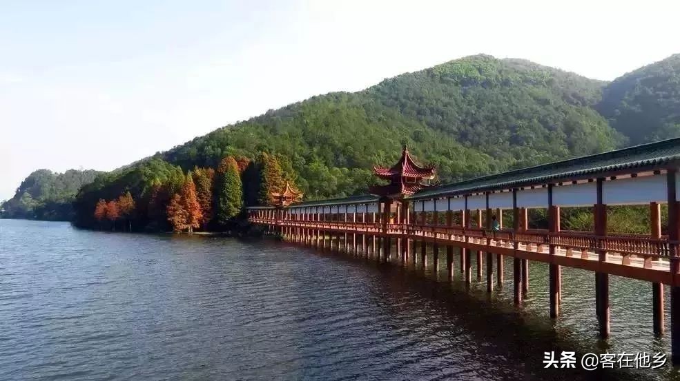 本港台播放过的动画,本港台曾经推出的纪录片