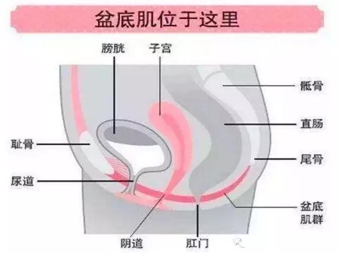 梅根产后首次公开亮相,梅根产后多久恢复身材了