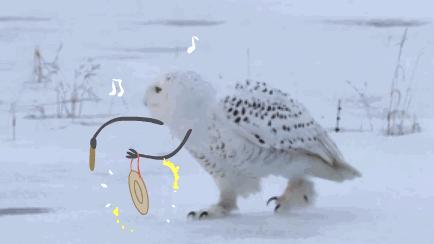 zara有毒的衣服,zara衣服质量致癌吗