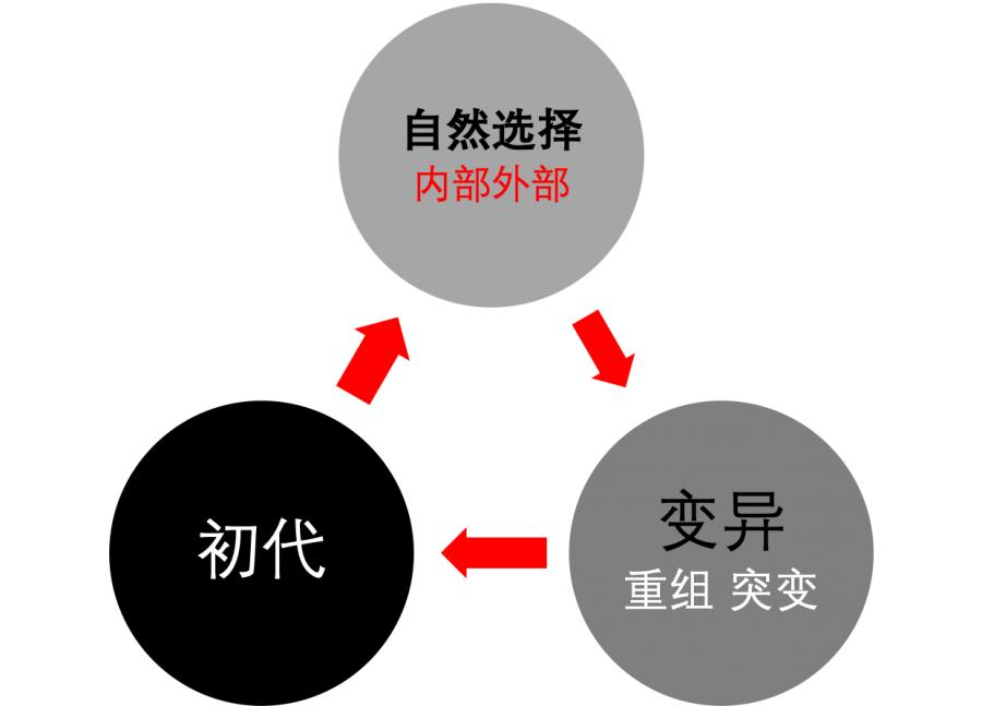 英雄联盟团队小游戏大全,英雄联盟小游戏问题