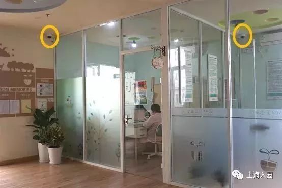 探园|这所幼儿园堪称“天然氧吧”!开办2年人气超高!报名人多