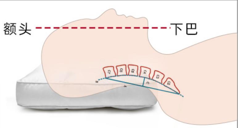 羽绒枕头和荞麦枕哪个好,五星级酒店用的羽绒枕还是蚕丝枕