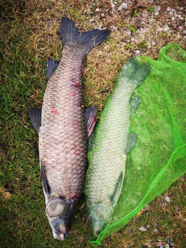 高手钓鱼精准调漂技巧,调漂技巧全解析