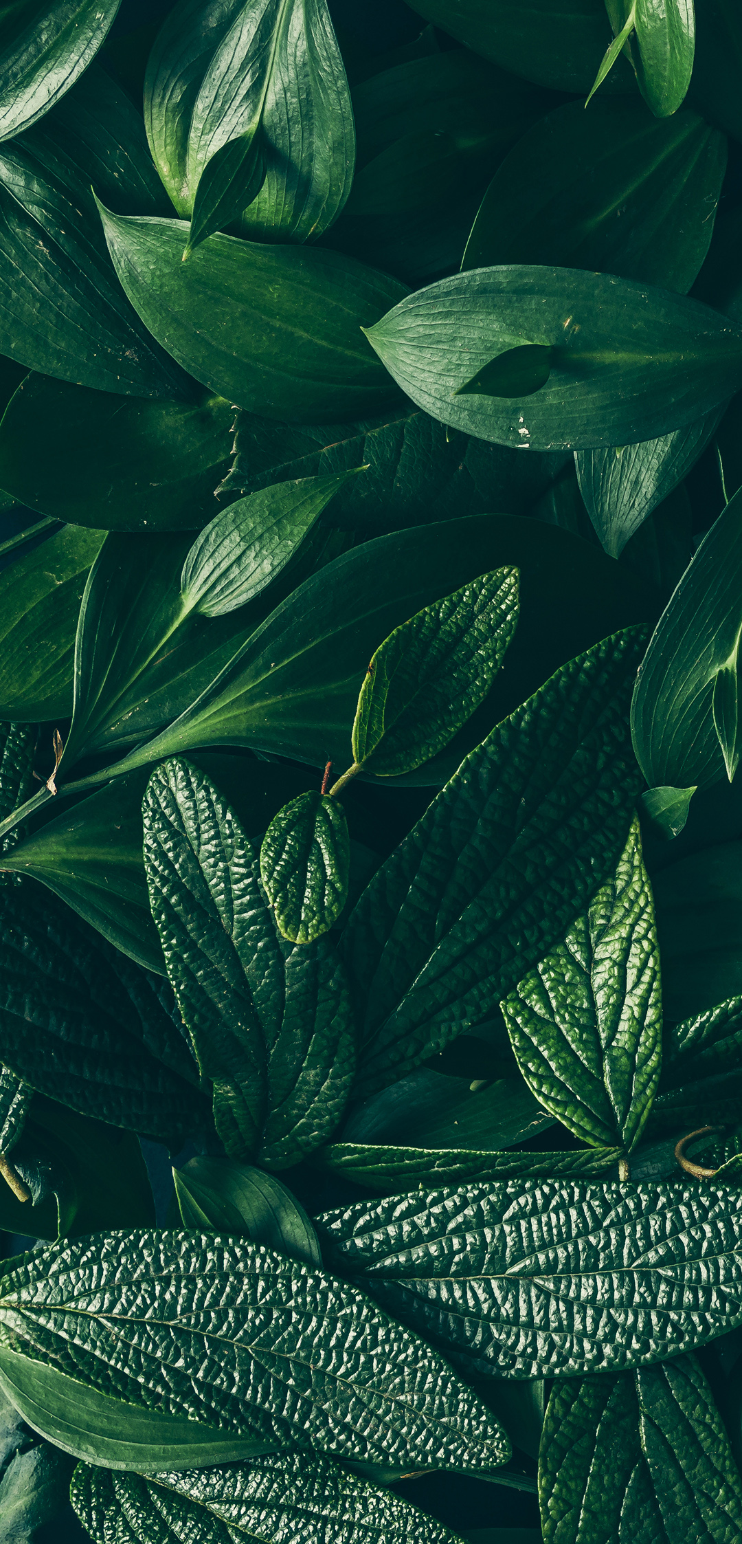 ios10.33越狱重启后失效,iphoneios10.3.3如何清除越狱环境