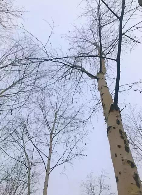 2019宽城“北3.5环”,破困脱缰。