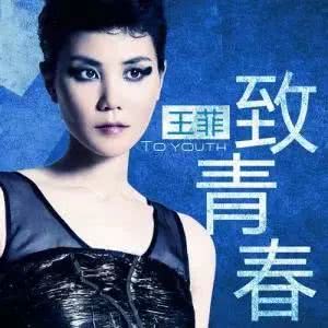 怀念那些逝去的青春歌曲,怀念逝去的青春用什么歌曲