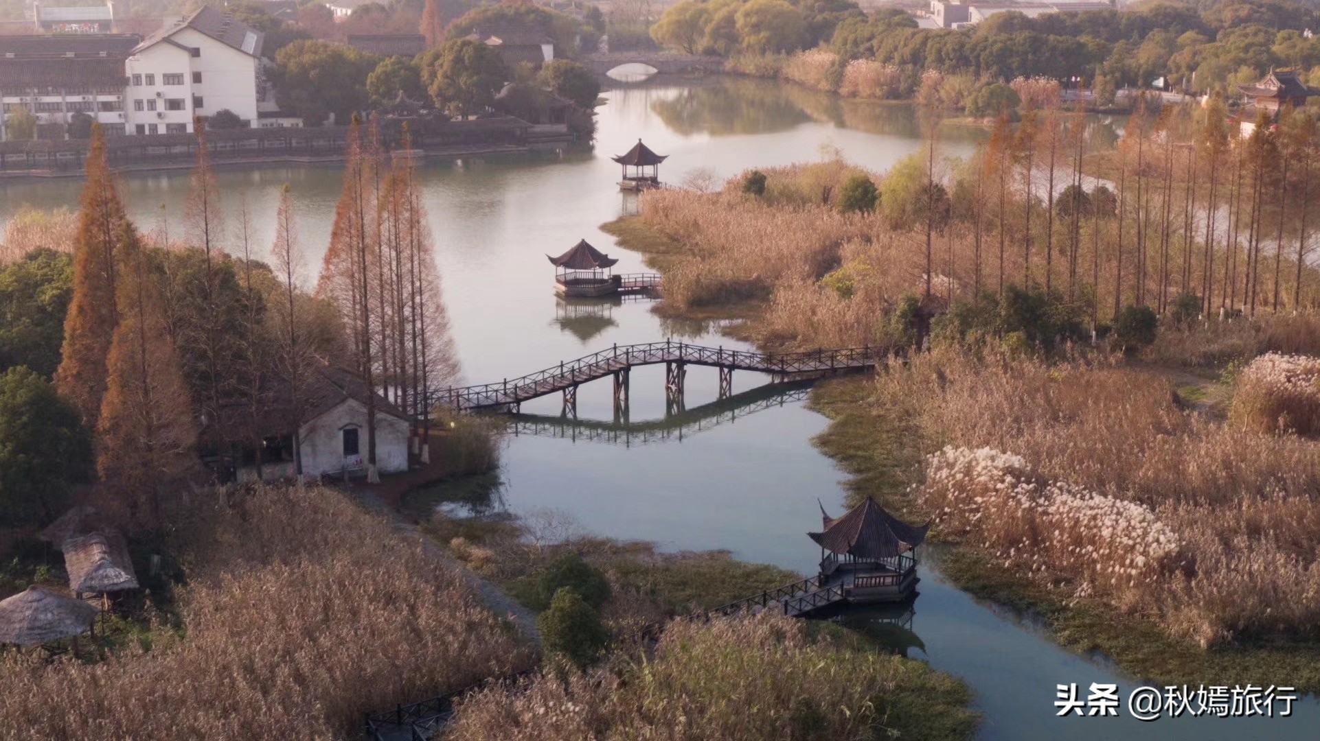 这座华东地区最大的湿地公园,拥有一千多亩芦苇荡,游客络绎不绝