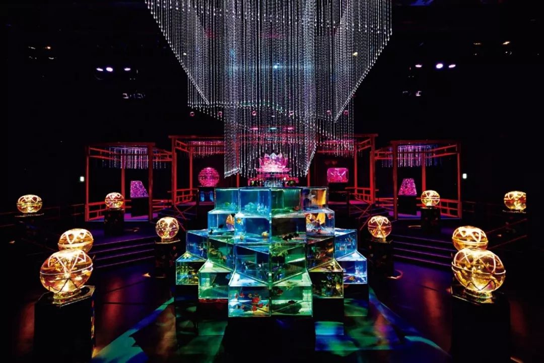 日本网红打卡艺术展,日本十大网红展