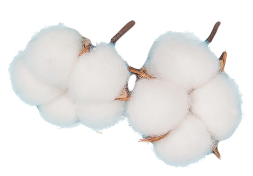 古代女生没有姨妈巾怎么办,古代没有卫生巾来大姨妈了怎么办