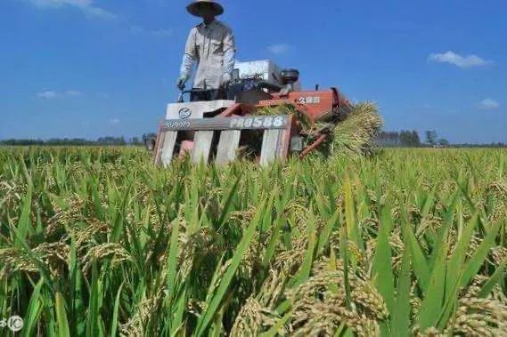 一点不输大牌的国货品牌护肤品,一些屹立不倒的护肤品大牌单品