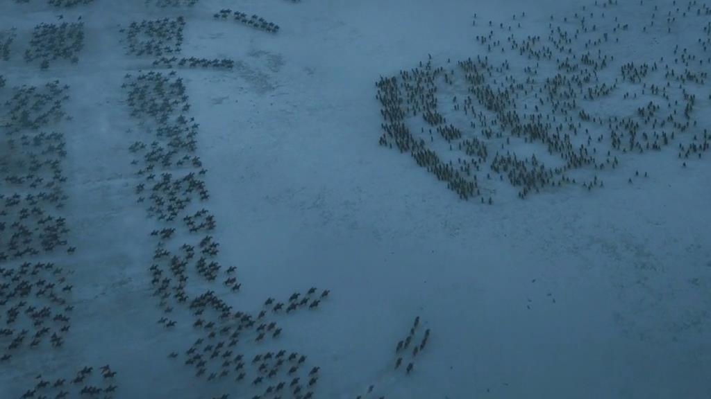 《权力的游戏:版图战略版》,权力的游戏凛冬将至王国争霸